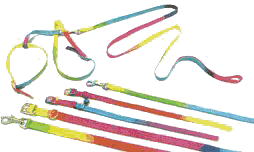 SNAPS ® Polyware Rainbow Collars & Leads (various sizes)